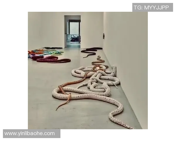 加莱诺的艺术世界探索与现代文化的深度交融之旅 加莱诺的艺术世界探索与现代文化的深度交融之旅