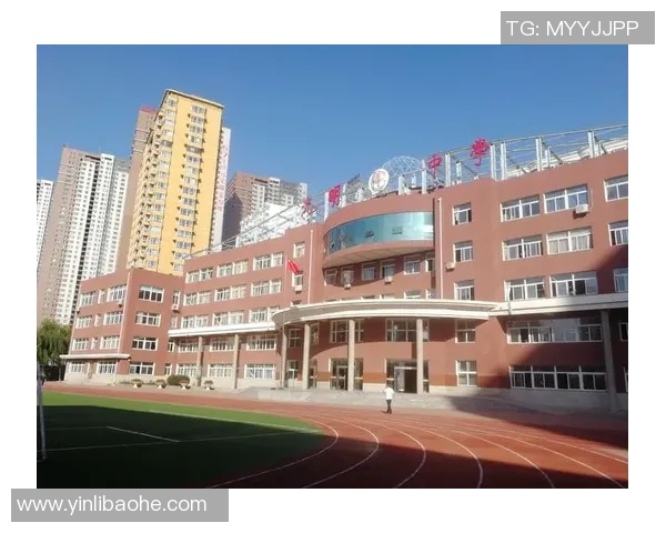 贾诚:在新时代背景下的青年奋斗与成长之路探索 贾诚:在新时代背景下的青年奋斗与成长之路探索