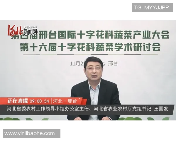 极限运动的成功秘诀王强分享他的独特经验与心路历程MBA 极限运动的成功秘诀王强分享他的独特经验与心路历程MBA