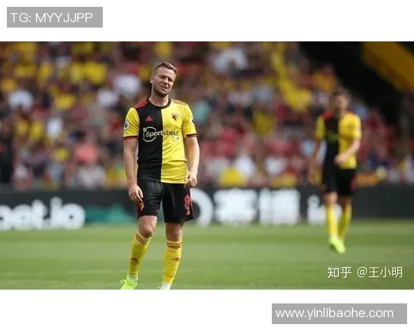 桑德兰与沃特福德对决前瞻分析及比赛结果预测