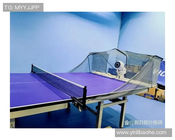 赵敏独家分享乒乓球技巧与心得体会助你提升球技的秘密秘籍